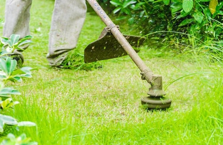 Magic Garden Services landscaping project