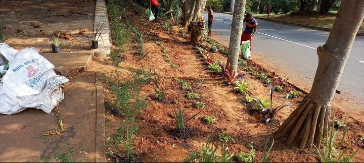 Magic Garden Services landscaping project