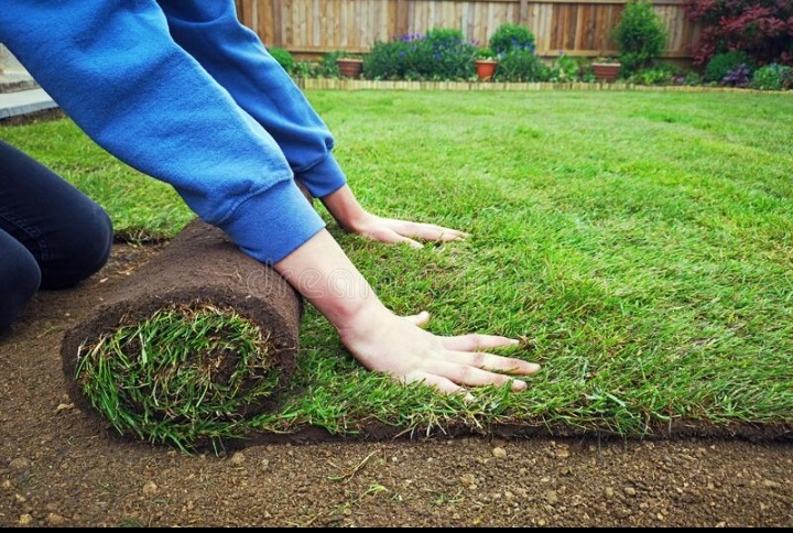 Magic Garden Services garden project