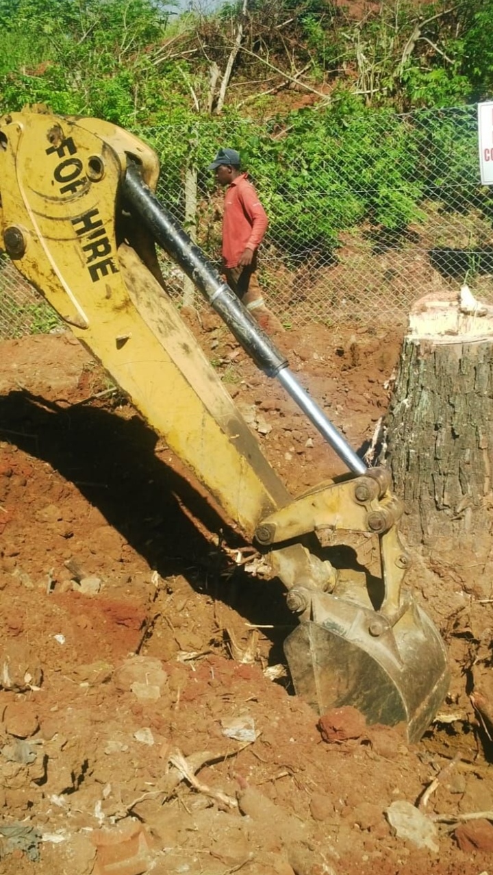 Magic Garden Services garden work