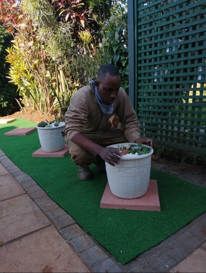 Magic Garden Services landscaping project